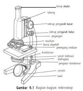 bagian-bagian mikroskop