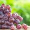 3 Manfaat Buah Anggur Bagi Kesehatan